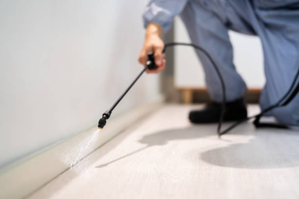 Licensed Mosquito Control service in Salem, MA - Show Me Pest Control