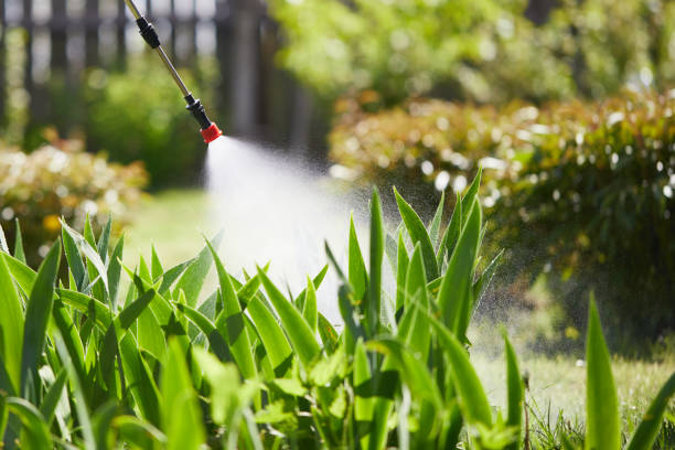 24/7 Emergency Mosquito Control experts in Salem, MA