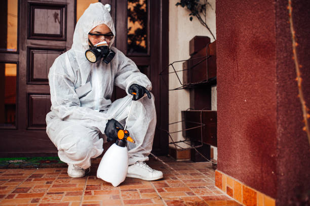 Reliable Mosquito Control contractor in Salem, MA by Show Me Pest Control