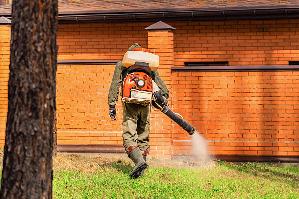 Top rated local Mosquito Control specialists in Salem, MA